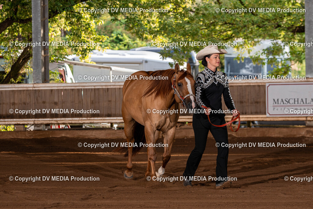 Erbach Tag 3-09 | dv-media-shop - Realisiert mit Pictrs.com