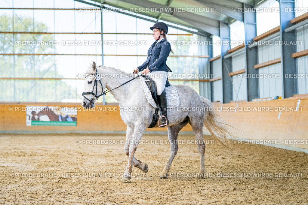 DSC06966 | Pferdegrafie