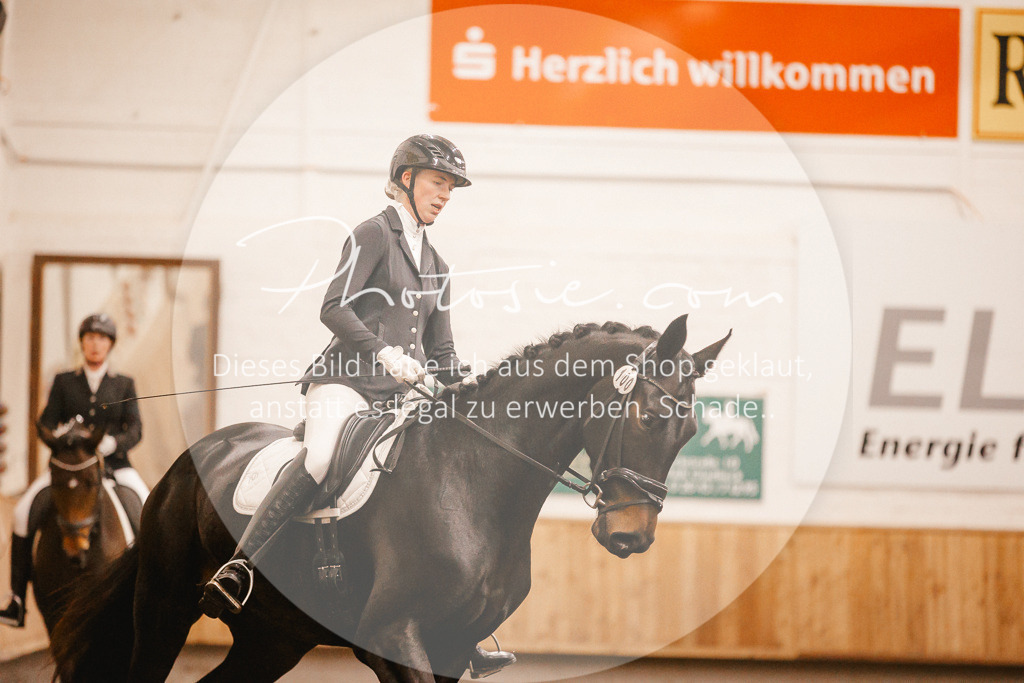 3I6A4530 | Stimmungsvolle Portraits und Reitsportfotografie im Ruhrgebiet und im Münsterland.

Pferdefotografie, Hundefotografie, Tierfotografie, Reportagen, Portraits von Tier und Mensch, Turnierfotografie in Bochum, Recklinghausen, Marl, Haltern am See, Dülmen.. - Realisiert mit Pictrs.com