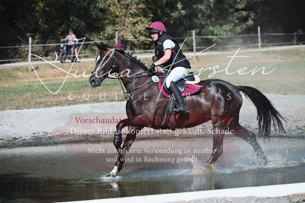 DSC_8561 | Pferde- und Turnierfotografie in Westsachsen. Pferdeportraits, Auftragszeichnungen und intuitive Kunst.