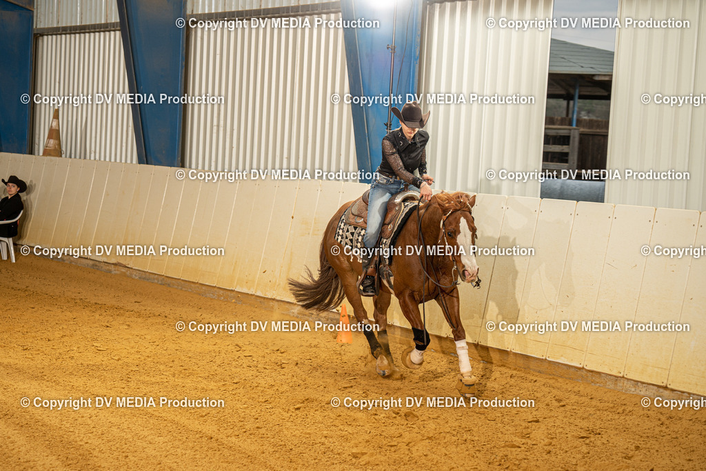 MIT00576 | dv-media-shop - Realisiert mit Pictrs.com