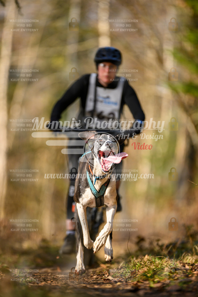 MompixPhotography_6ReiatRennen2026_SO_Bike-45 | PayLife