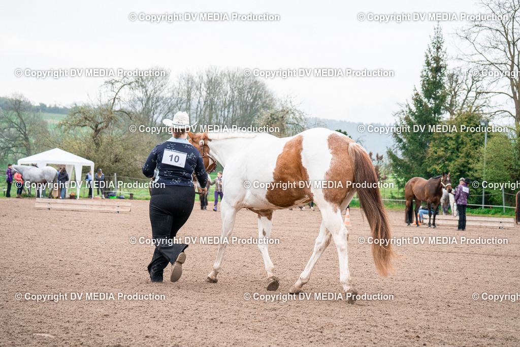 BA300014 | dv-media-shop - Realisiert mit Pictrs.com