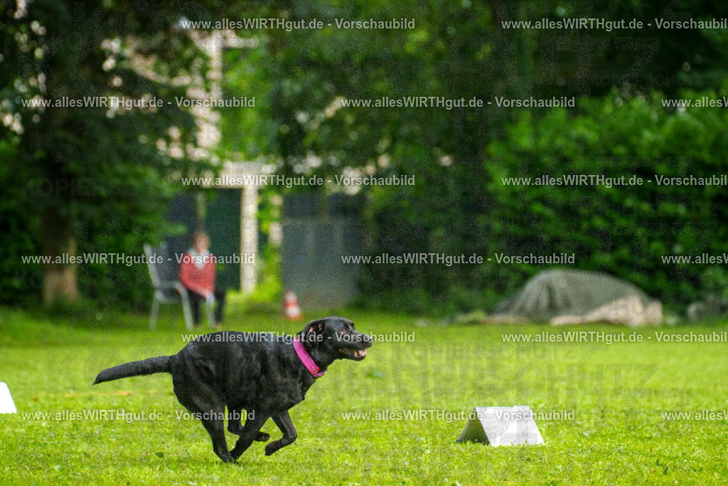 @allesWIRTHgut_Tierfotografie - www.allesWIRTHgut.de - 7R503189 | Professionelle Tierfotografie in Mönchengladbach von Daniel Wirth (allesWIRTHgut). Liebevolle & natürliche Bilder von Hunden & Katzen für unvergessliche Erinnerungen.