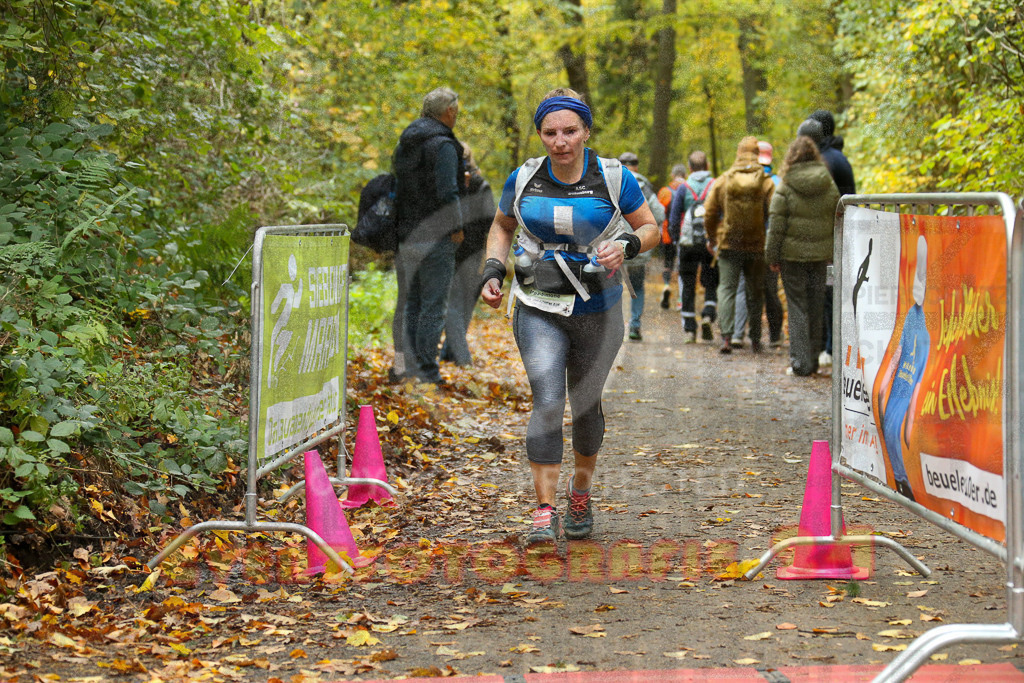 251026_1340_EX1_3830 | Sportfotografie im Rhein-Sieg Kreis, Köln, Bonn, NRW, Rheinland Pfalz, Hessen, etc. Unser Tätigkeitsfeld umfasst den Laufsport vom Volkslauf über den Marathon, Duathlon, Triathon bis zum Ultralauf wie Kölnpfad Ultra oder Schindertrail.