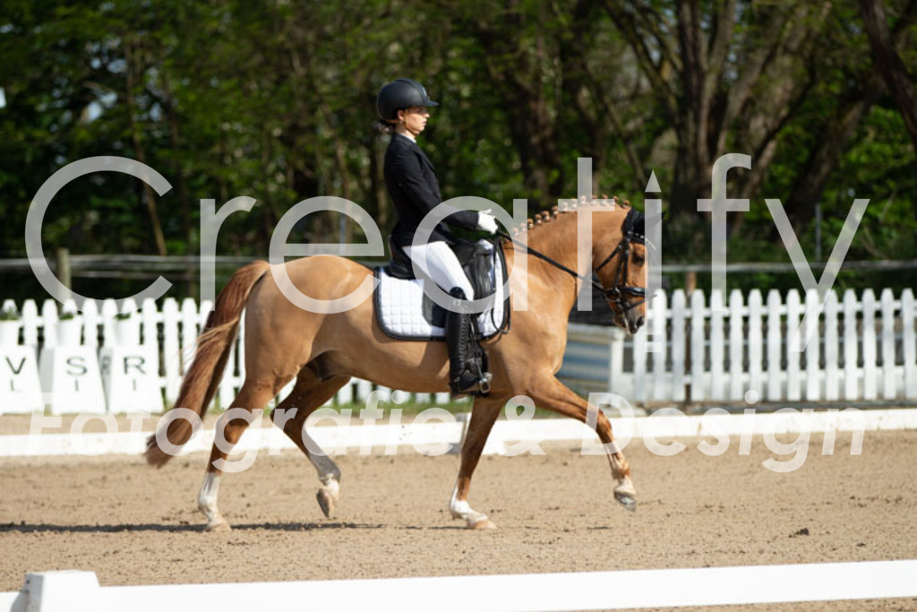 IMG_3345 | Creatify Fotografie