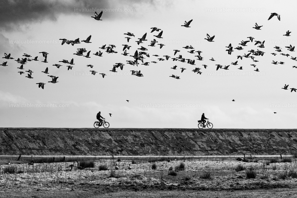 _DSC9237 | invaluablemoments.com - Realisiert mit Pictrs.com