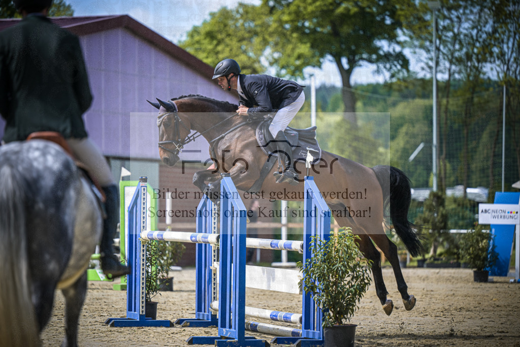 DOS_8201 | Entdecke hochwertige Reitturnierfotos von Foto Oger. Professionell, emotional und authentisch – jetzt Lieblingsmomente im Shop bestellen.Deutschlandweite Turnierfotografie. - Realisiert mit Pictrs.com