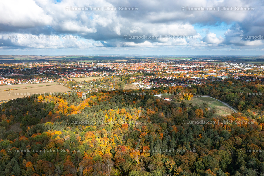 10049-52153 - Herbststimmung in den Spiegelsbergen | Stockfoto und Bilderpool mit Bildmaterial aus Deutschland, dem Harz, Halberstadt, Quedlinburg, Wernigerode und weltweit. Qualitativ hochwertige und professionelle Fotos anschauen und kaufen. - Realisiert mit Pictrs.com