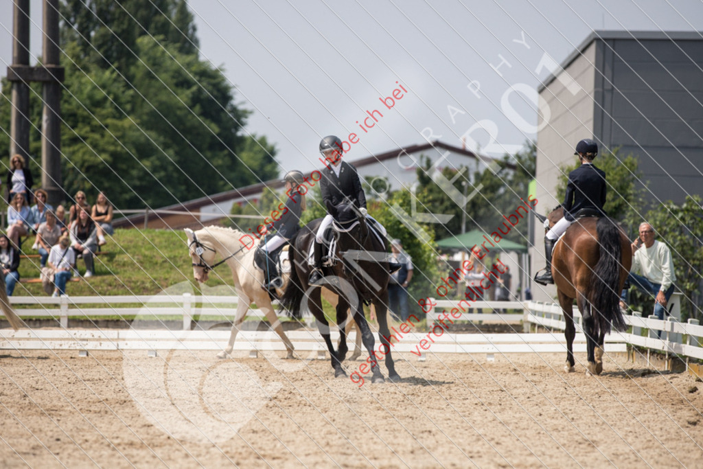 IMG_3900 | Sport-, Event- und Tierfotos in Profiqualität. Einfach auswählen, bestellen und herunterladen. Dein Moment – perfekt festgehalten.