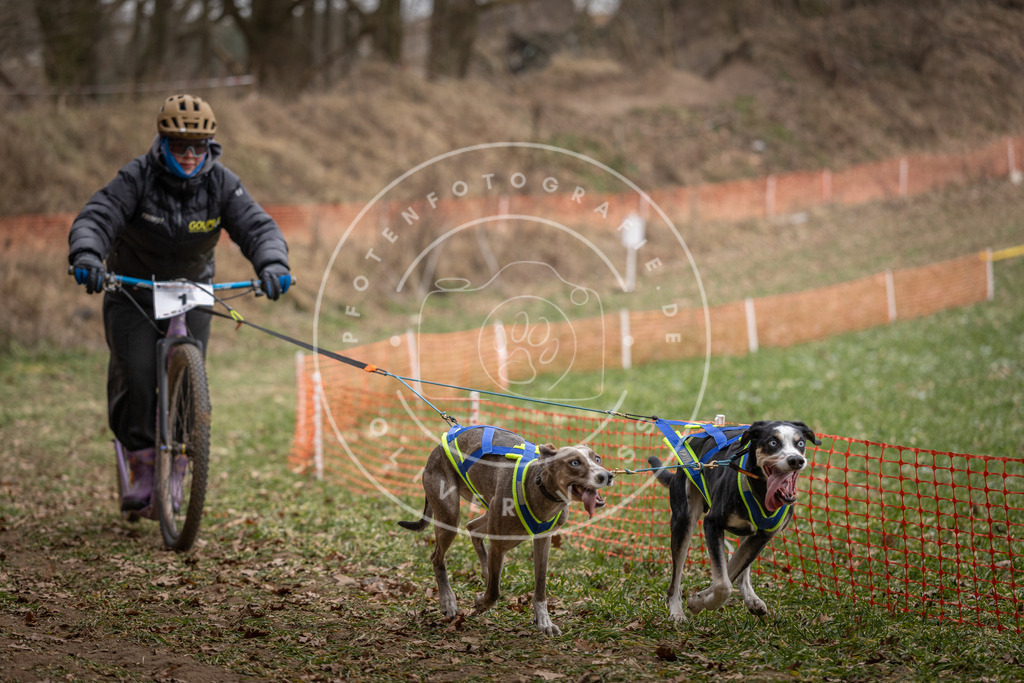 Pfotenfotografie_DV3A6648 | Hundefotografie, Tierfotograf, Pfotenfotografie, Fotoshooting Hund, Hunde Portrait, Hundesport, Hundeportraits, Heideshooting, Hunde, Sportfotograf, Hundefotograf, Turnierhundsport, THS,  - Realisiert mit Pictrs.com