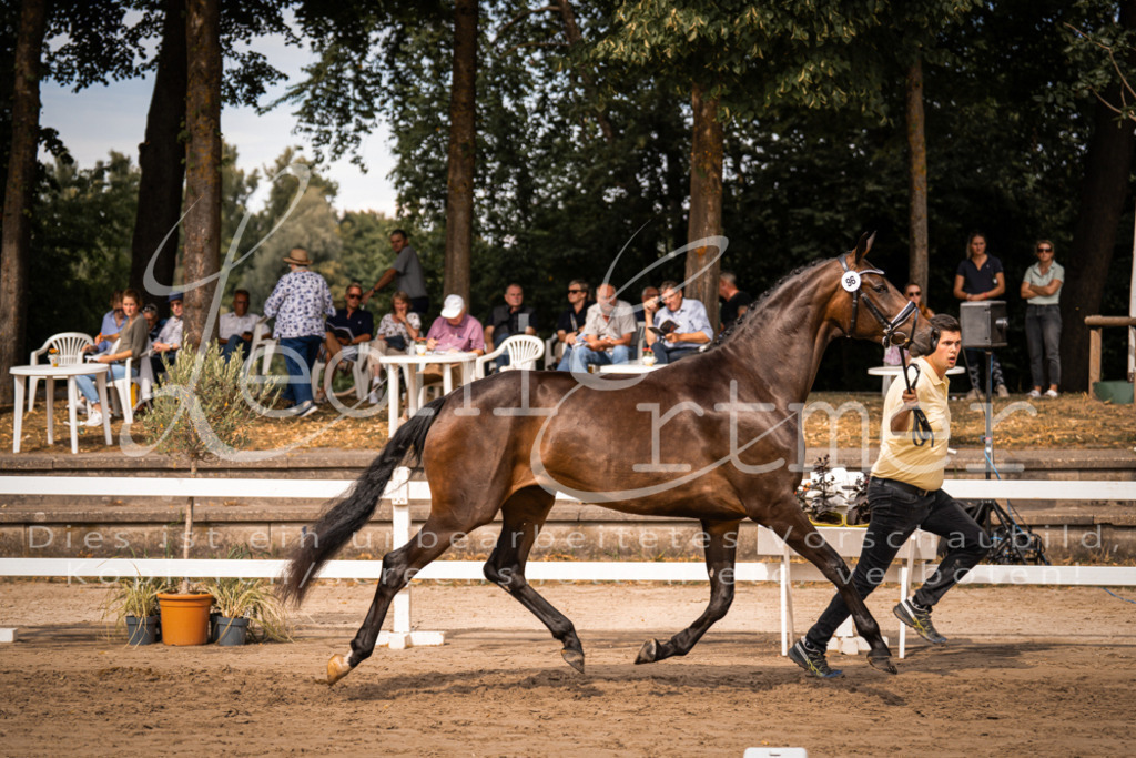 7.Fr00024 | Leoni Ertmer Photography - Realisiert mit Pictrs.com