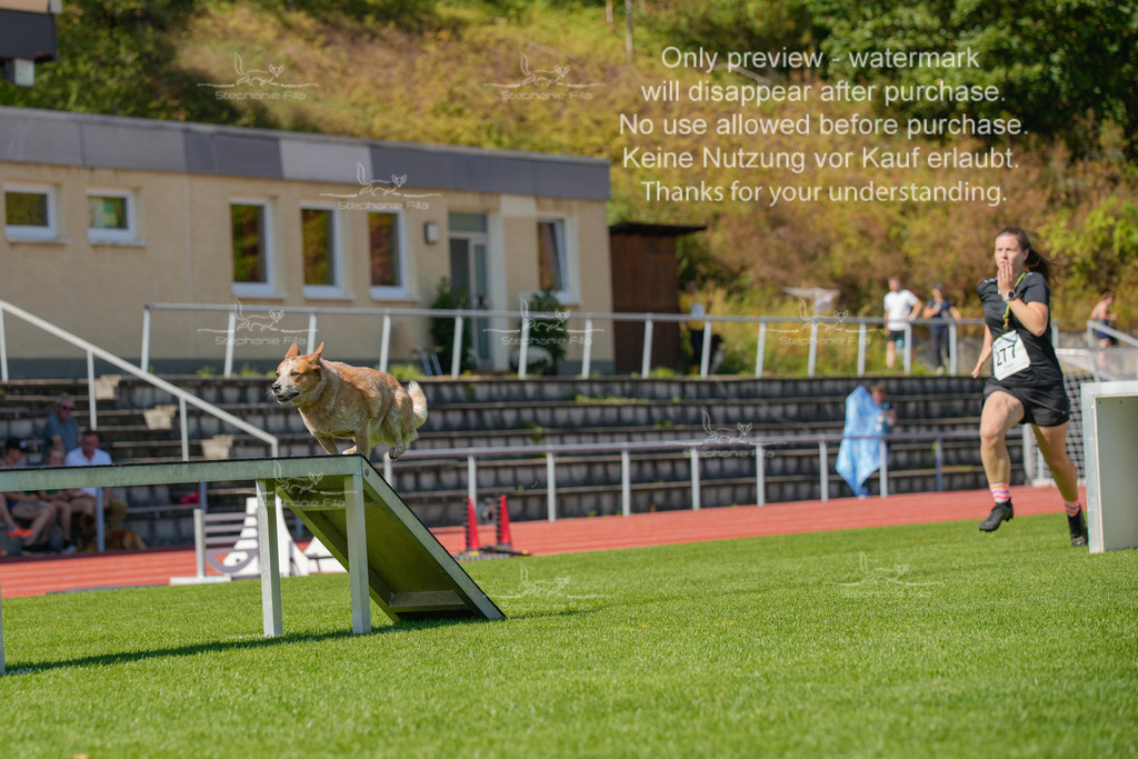 Sonntag_VK Hindernis (524 von 671) | stephaniefillaphotographie - Realisiert mit Pictrs.com