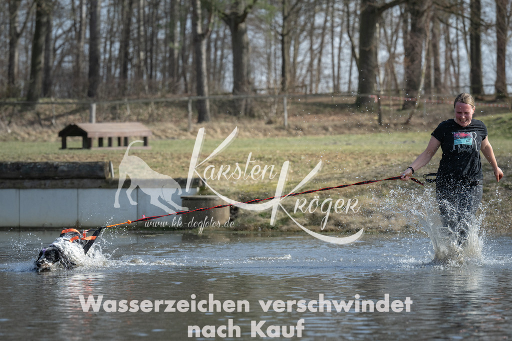 1342_ZZ97987 | kk-dogfotos