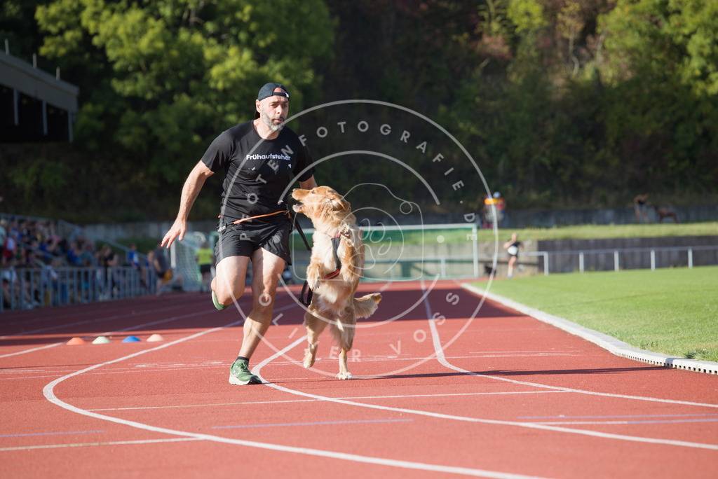 0L8A9817 | Hundefotografie, Tierfotograf, Pfotenfotografie, Fotoshooting Hund, Hunde Portrait, Hundesport, Hundeportraits, Heideshooting, Hunde, Sportfotograf, Hundefotograf, Turnierhundsport, THS,  - Realisiert mit Pictrs.com