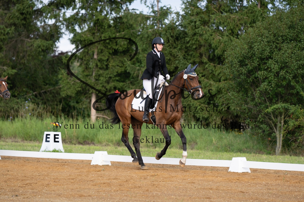 A7V03724 | Pferdefotograf