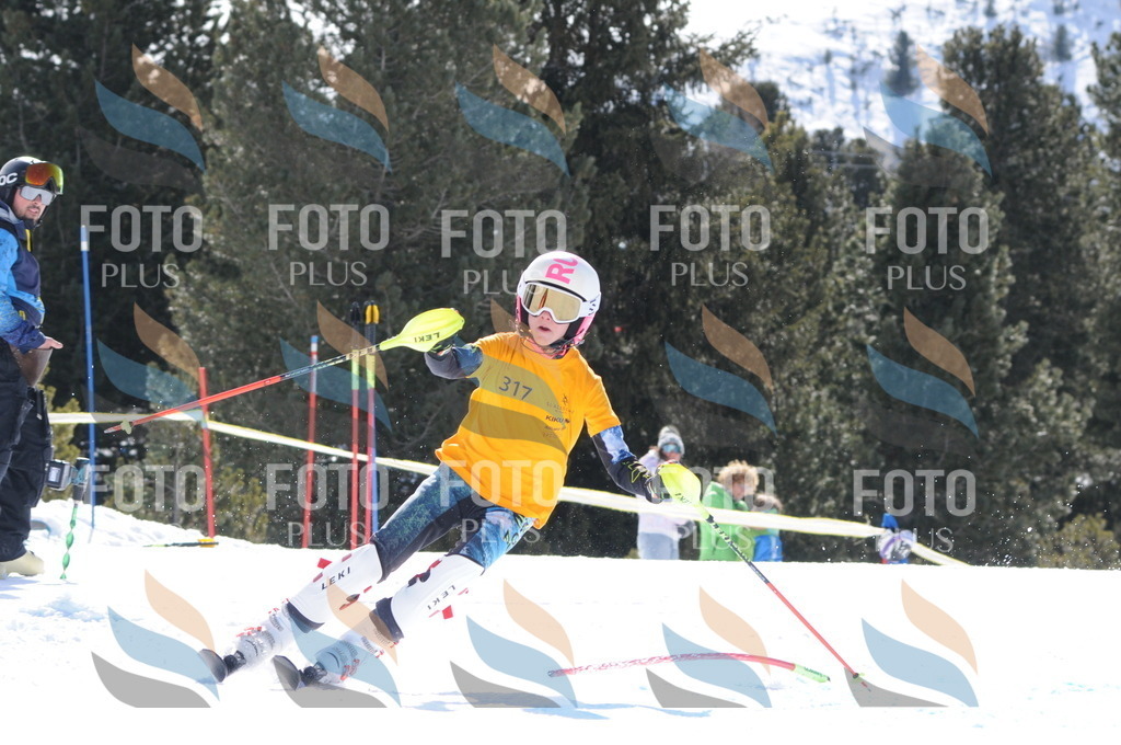 C9212 | holidayphoto