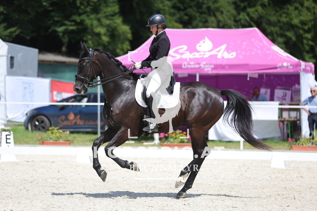 0P6A6522 | Willkommen bei Brunnmayr - Design & Fotografie – Ihrem Spezialisten für Reitturniere und Pferdeveranstaltungen in Oberösterreich, Salzburg und Bayern! Seit über 17 Jahren sind wir leidenschaftlich dabei.