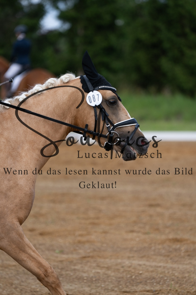 A7V03805 | Turnier/Reitfotograf