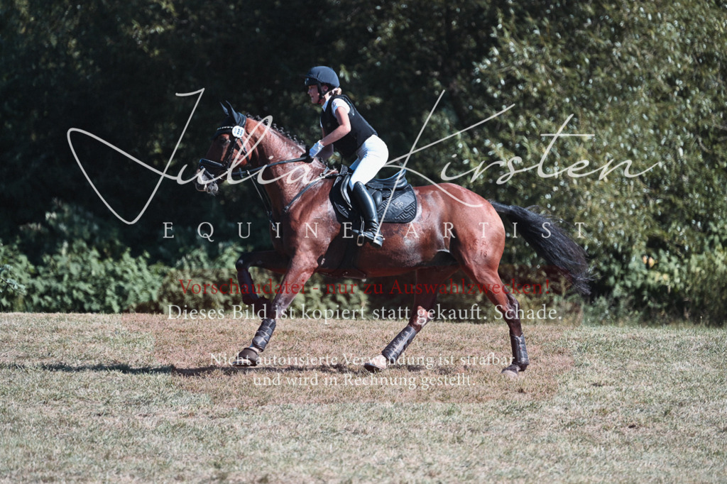 DSC_8595 | Pferde- und Turnierfotografie in Westsachsen. Pferdeportraits, Auftragszeichnungen und intuitive Kunst.