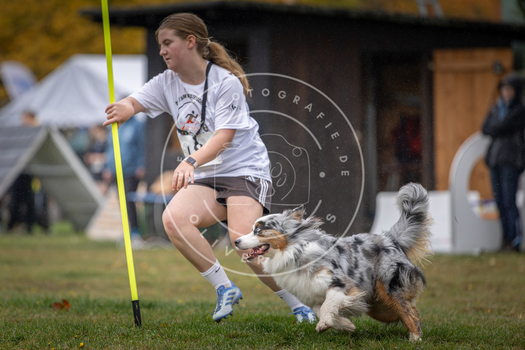 Pfotenfotografie_DV3A9784 | Hundefotografie, Tierfotograf, Pfotenfotografie, Fotoshooting Hund, Hunde Portrait, Hundesport, Hundeportraits, Heideshooting, Hunde, Sportfotograf, Hundefotograf, Turnierhundsport, THS,  - Realisiert mit Pictrs.com