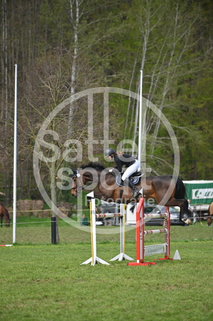 DSC_3863 | sattelsport - Realisiert mit Pictrs.com