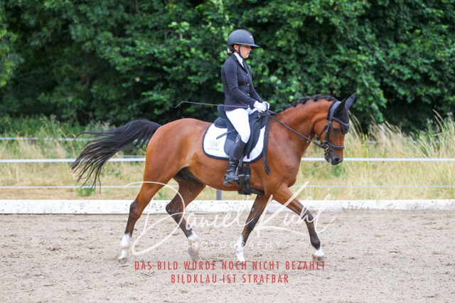 DKP47227 | Turniersportfotografie; Pferdefotografie; Dressurfotografie