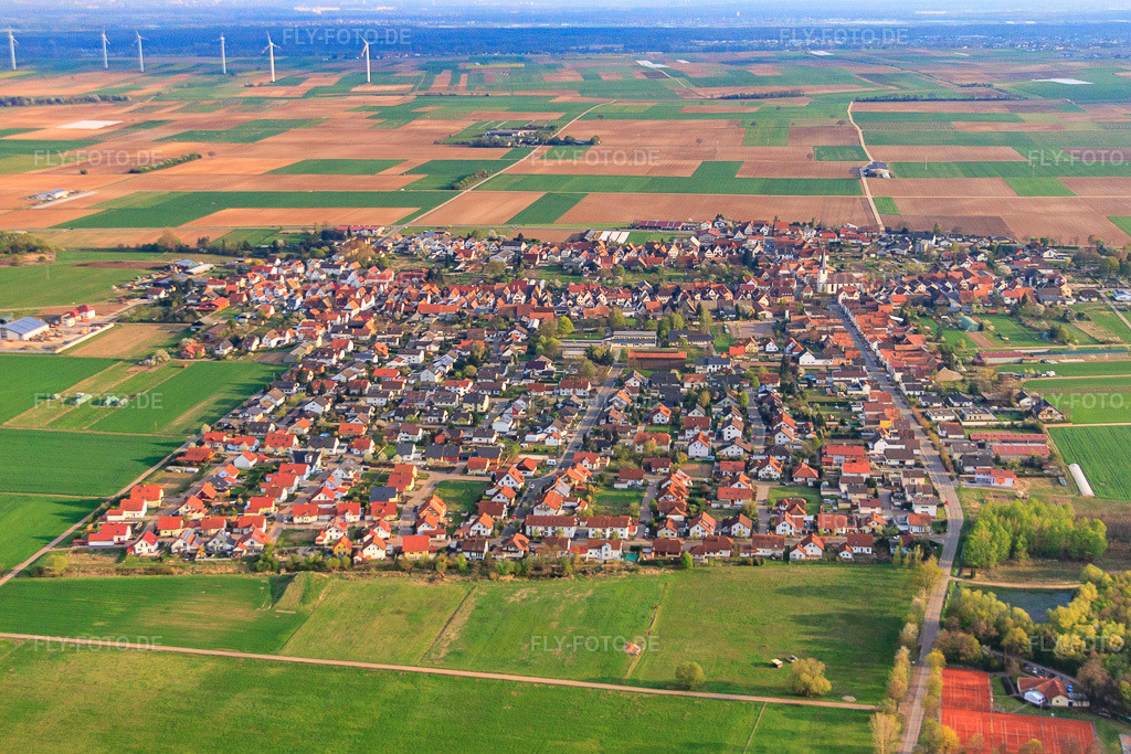 Luftbild: Dorfansicht aus Norden in Ottersheim bei Landau im Bundesland Rheinland-Pfalz in Deutschland. Foto: IMG_49902.jpg vom 13.04.2012 durch Werner Riehm/FLY-FOTO.de