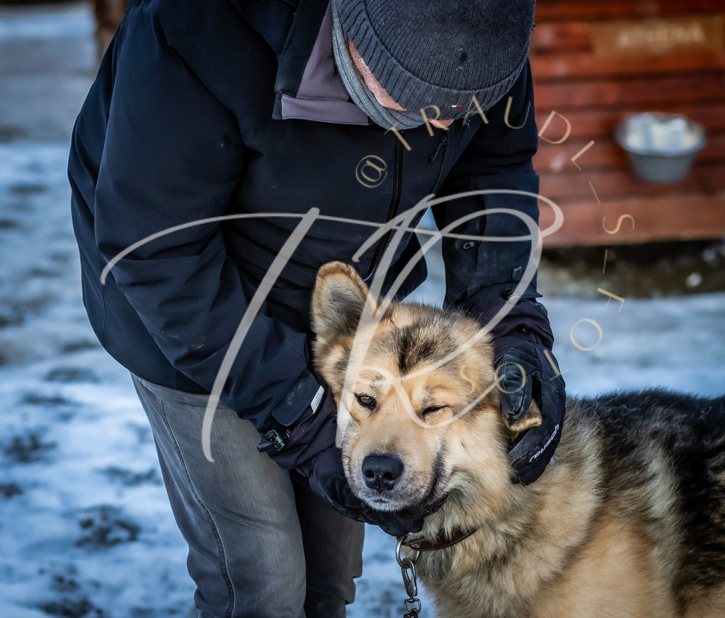 020393EF-58E1-45DB-92F2-596F3A40E1CB | traudl_s_fotos