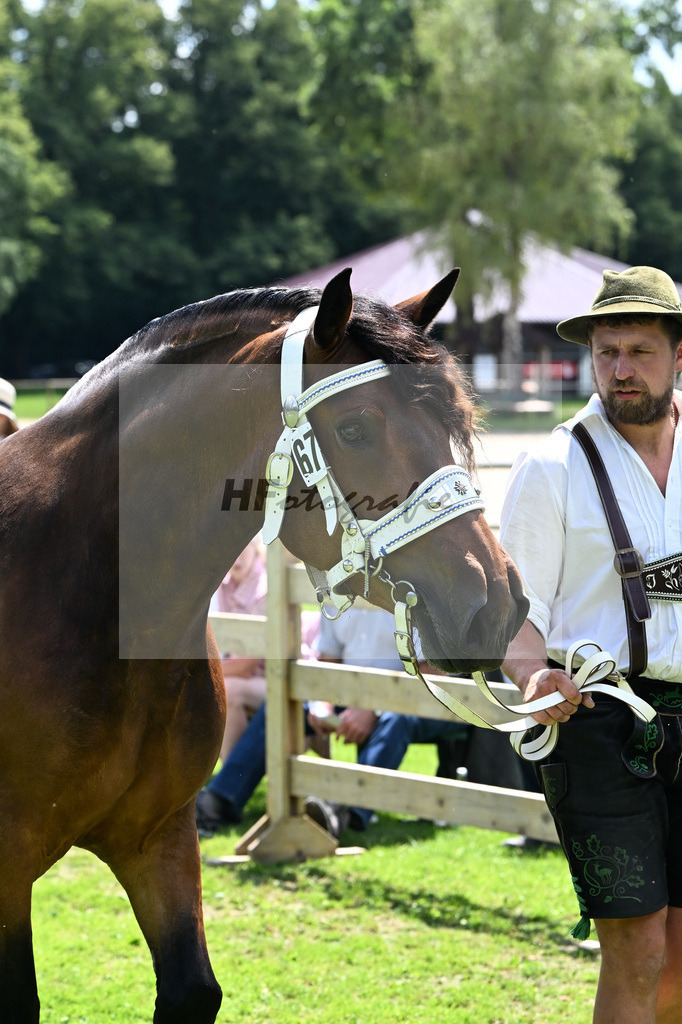 Kat-Nr. 67 Perle v. Schorschi_Willand_22241174 | hf-fotografie - Realizzato con Pictrs.com