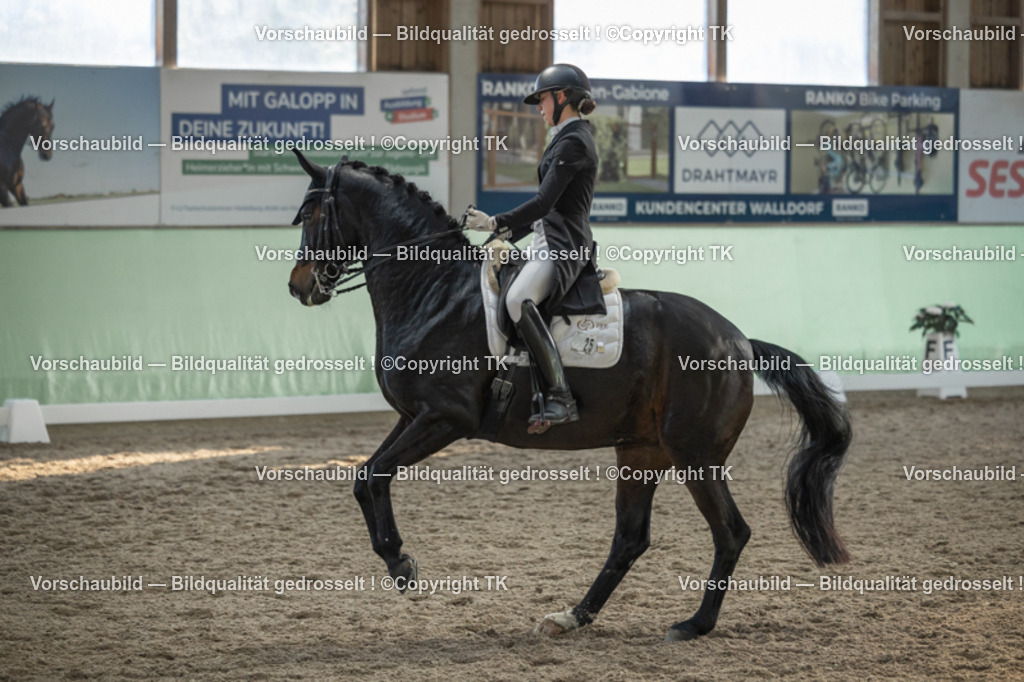 _D5A0647 | Emotionale Pferde- & People-Fotografie rund um Heidelberg, Leimen & Umgebung. Natürliche Fotos von Pferd, Mensch & Familie. Jetzt Termin sichern!