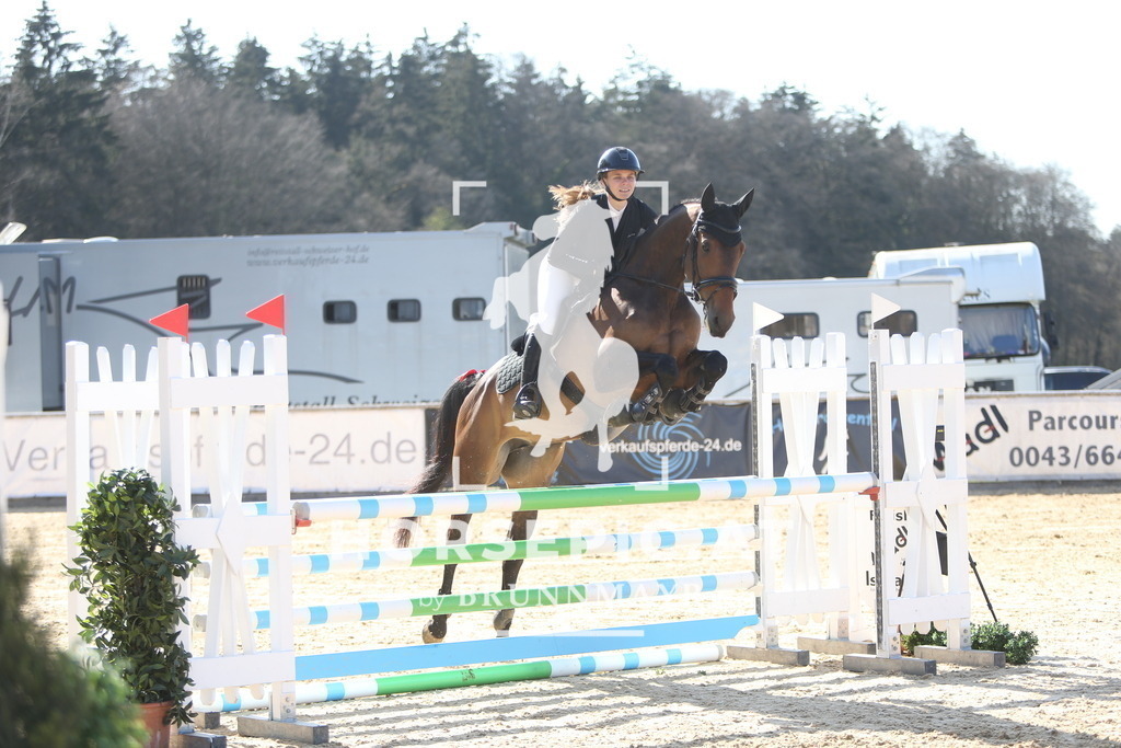 DL2Q2257 | Willkommen bei Brunnmayr - Design & Fotografie – Ihrem Spezialisten für Reitturniere und Pferdeveranstaltungen in Oberösterreich, Salzburg und Bayern! Seit über 17 Jahren sind wir leidenschaftlich dabei.