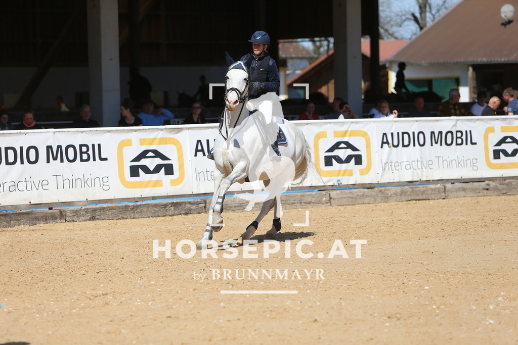 DL2Q5267 | Willkommen bei Brunnmayr - Design & Fotografie – Ihrem Spezialisten für Reitturniere und Pferdeveranstaltungen in Oberösterreich, Salzburg und Bayern! Seit über 17 Jahren sind wir leidenschaftlich dabei.