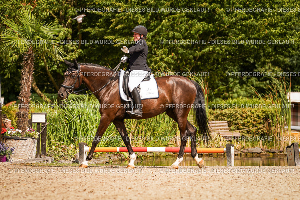 DSC01604 | Pferdegrafie