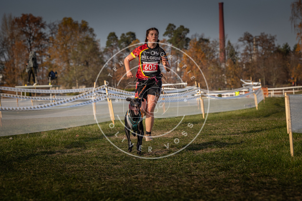 CaniXpix_0L8A0135 | Hundefotografie, Tierfotograf, Pfotenfotografie, Fotoshooting Hund, Hunde Portrait, Hundesport, Hundeportraits, Heideshooting, Hunde, Sportfotograf, Hundefotograf, Turnierhundsport, THS,  - Realisiert mit Pictrs.com