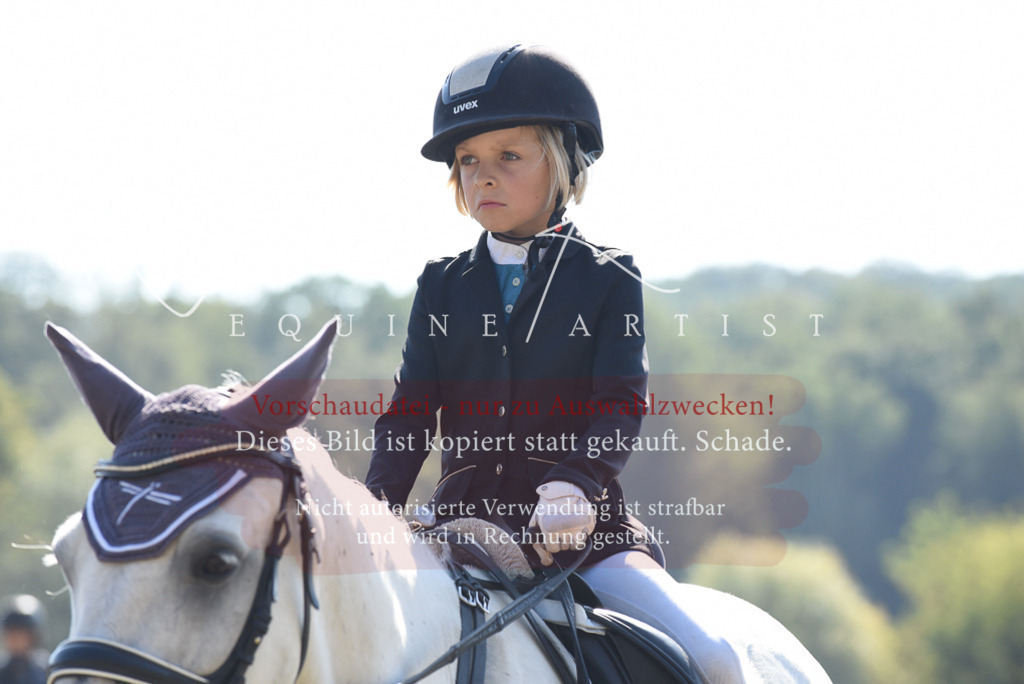 DSC_6133 | Pferde- und Turnierfotografie in Westsachsen. Pferdeportraits, Auftragszeichnungen und intuitive Kunst.