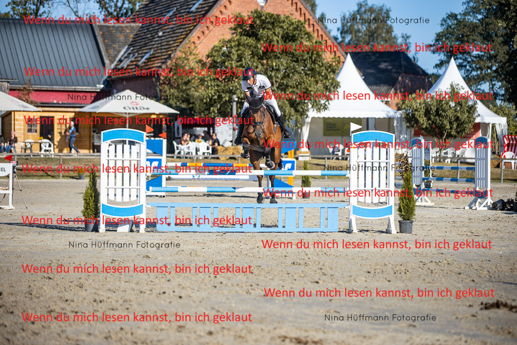 BK1A6124 | Turnierbilder Turnierfotos Nina Hüffmann Turnierfotografie Pferdefotografie Tierzeichnung Haustierzeichnung Pferdezeichnung Hundezeichnung Videograf  - Realisiert mit Pictrs.com