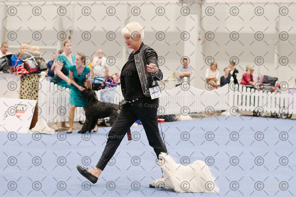 202406_ÖKV-IHA-Tulln24_DSC_2796 | proPHOTO - Realisiert mit Pictrs.com