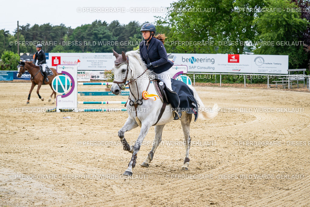 DSC06546 | Pferdegrafie