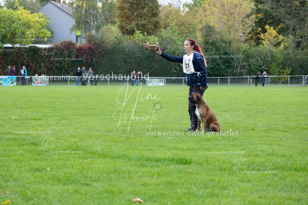_16A4691 | Einzigartige Fotos von Hunden & Menschen –Actionfotos, Portraits, Vereinsaufnahmen & Paarshootings – authentisch, lebendig & mit Herz.