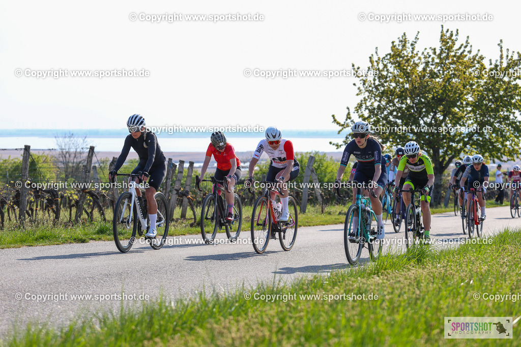 IMG_0764 | @sportshot_your_pictrs #yourpictures#roadtowm2029 #nrm #neusiedlerseeradmarathon #neusiedlersee #neusiedlerseetourismus #burgenland #mörbisch #nrm26 #burgenlandtourismus #voglundco #poweredbyburgenlandtourismus #radsport #rad #marathon #ucigranfondo #visitburgenland #ucigranfondoworldseries