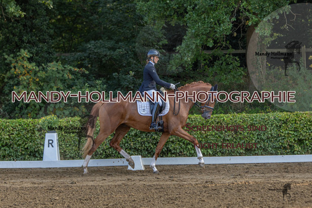 15.8.25 D1 RPF 3j (48 von 255) | mandyhollmannphotographie