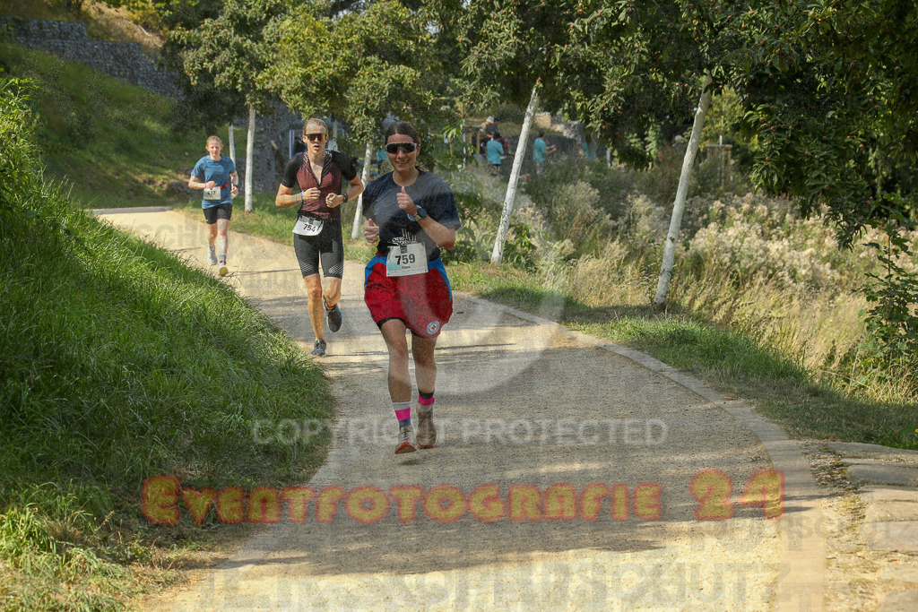 250824_1446_EX1_7523 | Sportfotografie im Rhein-Sieg Kreis, Köln, Bonn, NRW, Rheinland Pfalz, Hessen, etc. Unser Tätigkeitsfeld umfasst den Laufsport vom Volkslauf über den Marathon, Duathlon, Triathon bis zum Ultralauf wie Kölnpfad Ultra oder Schindertrail.
