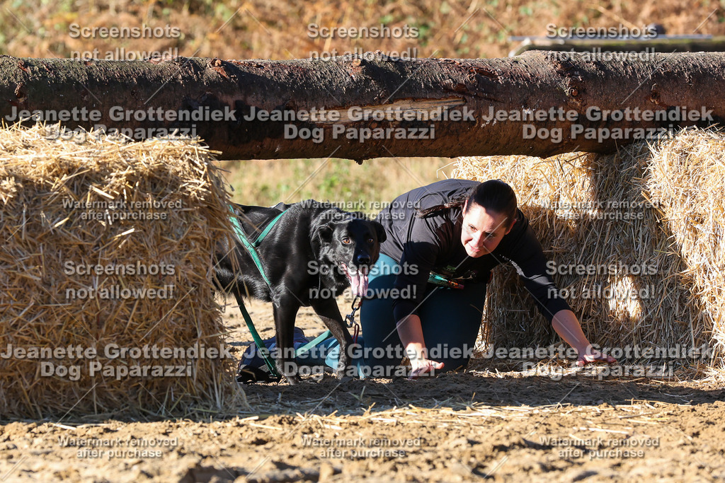 Dog Paparazzi - Strongdog 10-25-1733 | Dog Paparazzi Jeanette Grottendiek Fotografie & Videografie - Realisiert mit Pictrs.com