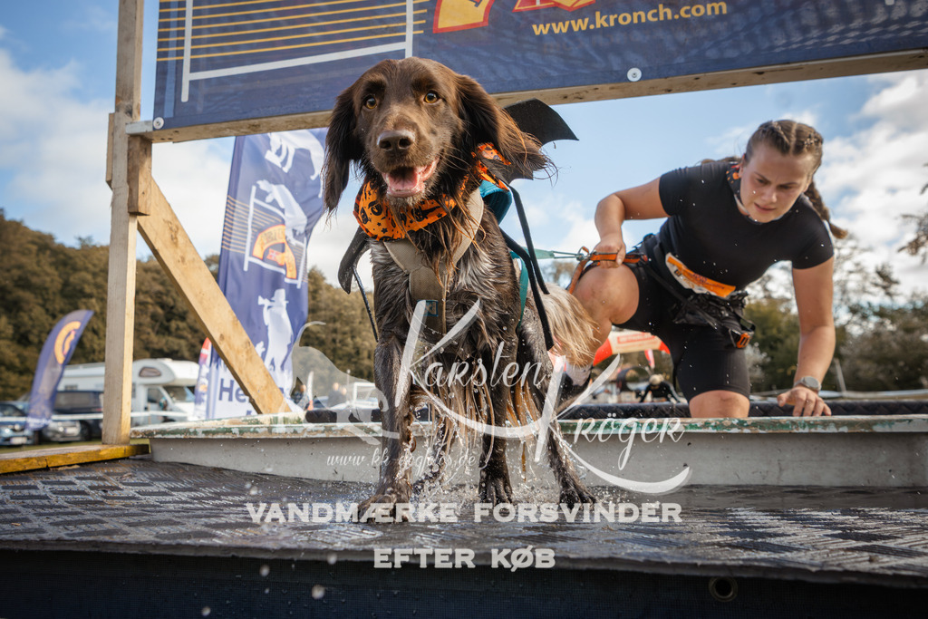 1325_ZZ90719-2 | kk-dogfotos