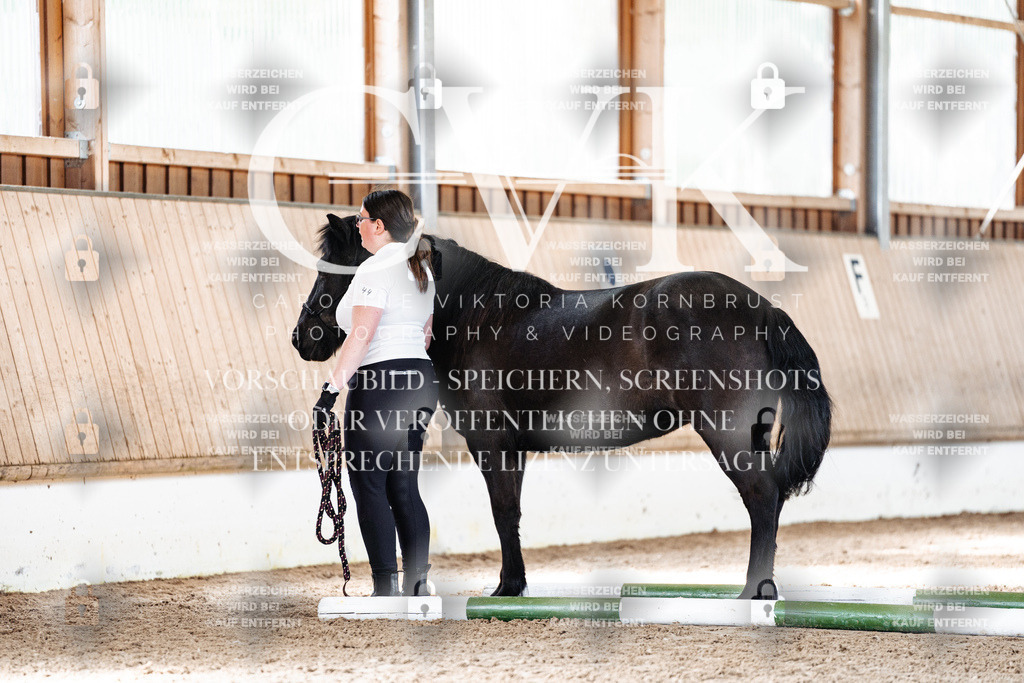 CK905664 | Turnierfotografie Pferdefotografie Trier Rheinland-Pfalz Pferdesport Reitsport Tierfotografie Sportfotografie Pferdevideo Pferdevideografie Equestrianvideography equestrianphotography  - Realisiert mit Pictrs.com