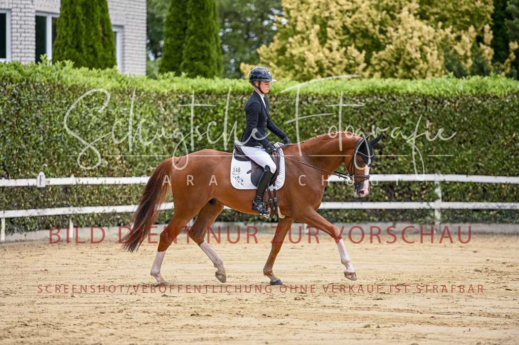Schugtsche-Aluta25-48.Reitpferfdeprf.-167 | Schugtsche Fotografie - Realisiert mit Pictrs.com