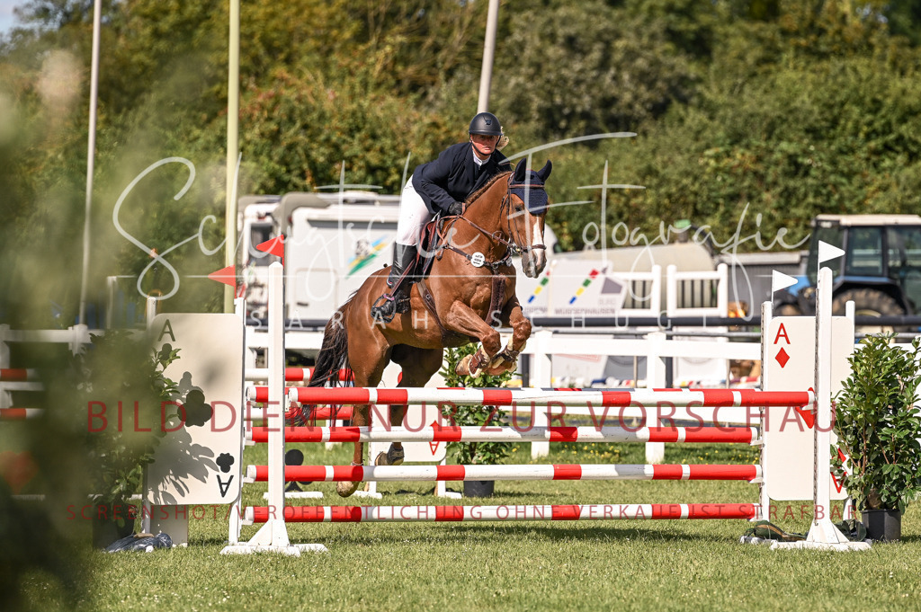 Schugtsche-Düren.2024-08.Amat.Springprf.L-46 | Schugtsche Fotografie - Realisiert mit Pictrs.com