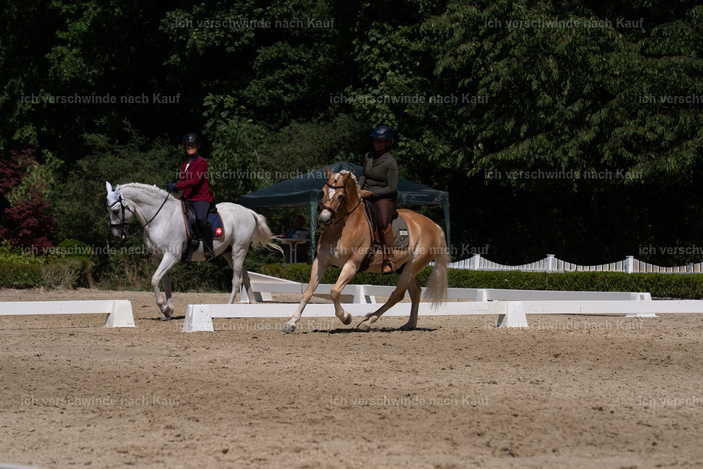 WS_DR_1_sinafilmart_IN03510 | working equitationturnier fotograf videograf stoibphotography marixx film working equitation deutschland reitsport turnierfotografie eventfotografie equestrian events
