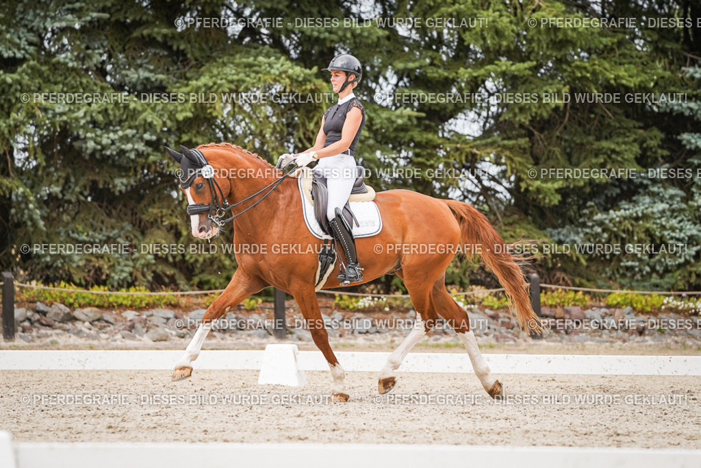 DSC07968 | Pferdegrafie